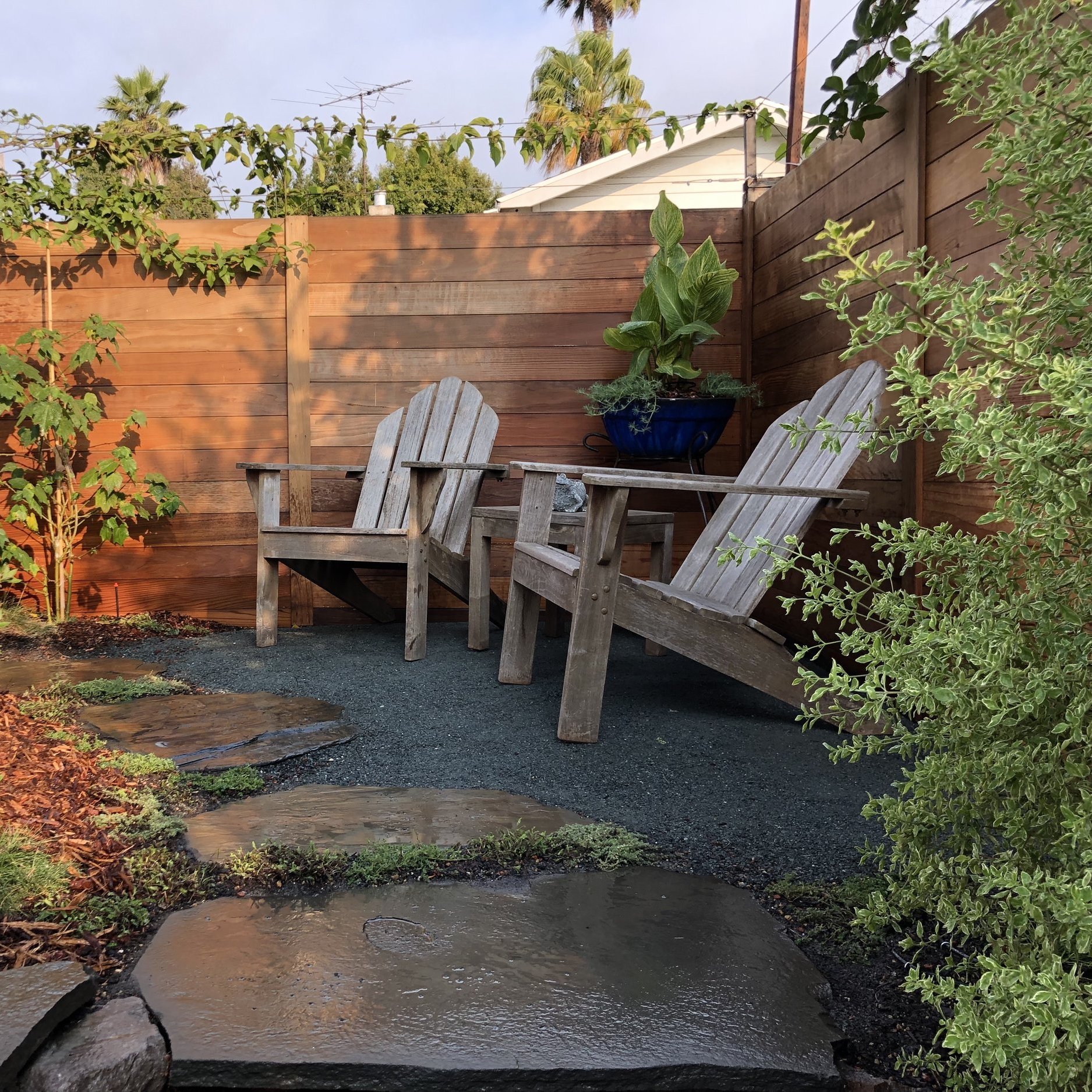 Noe Valley native garden