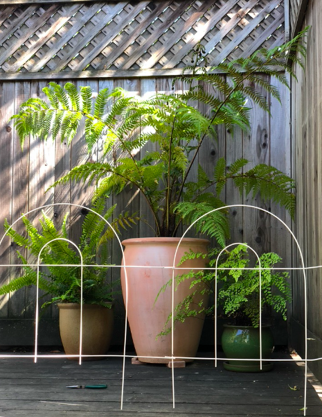Garden design plans and native planting