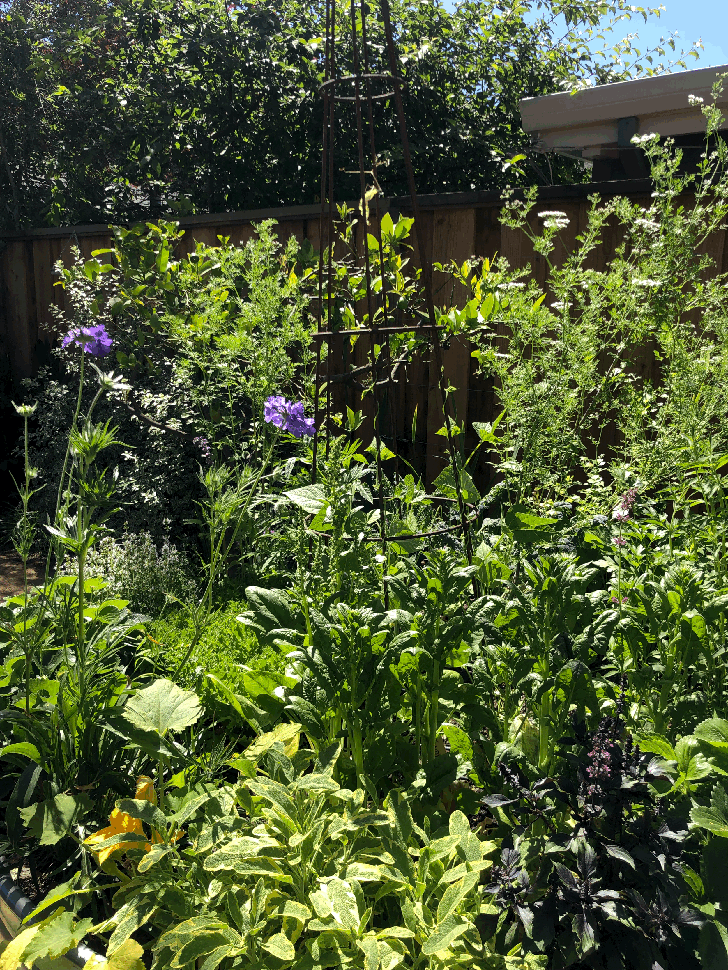 Our Gardens