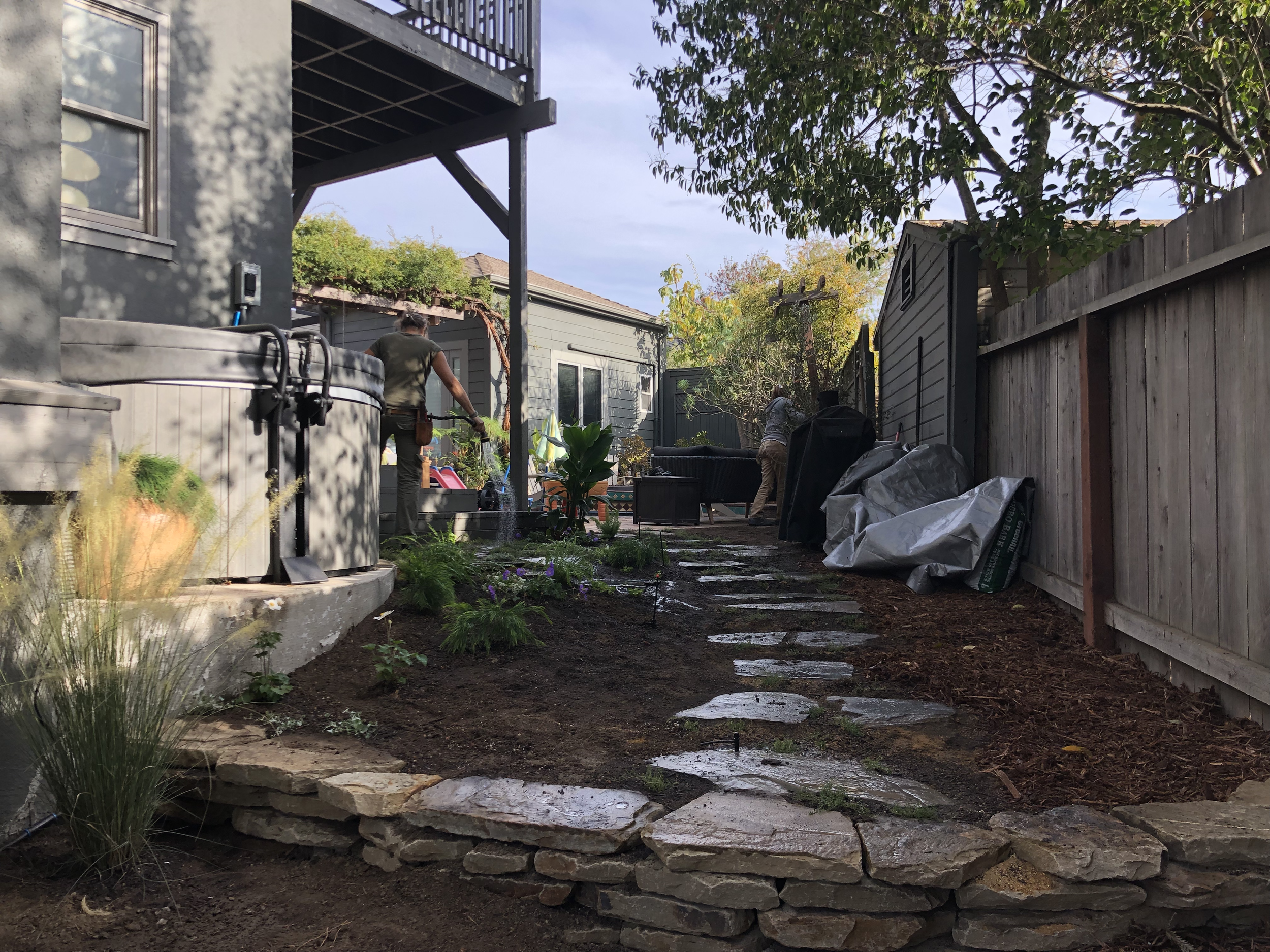 Side yard planting detail