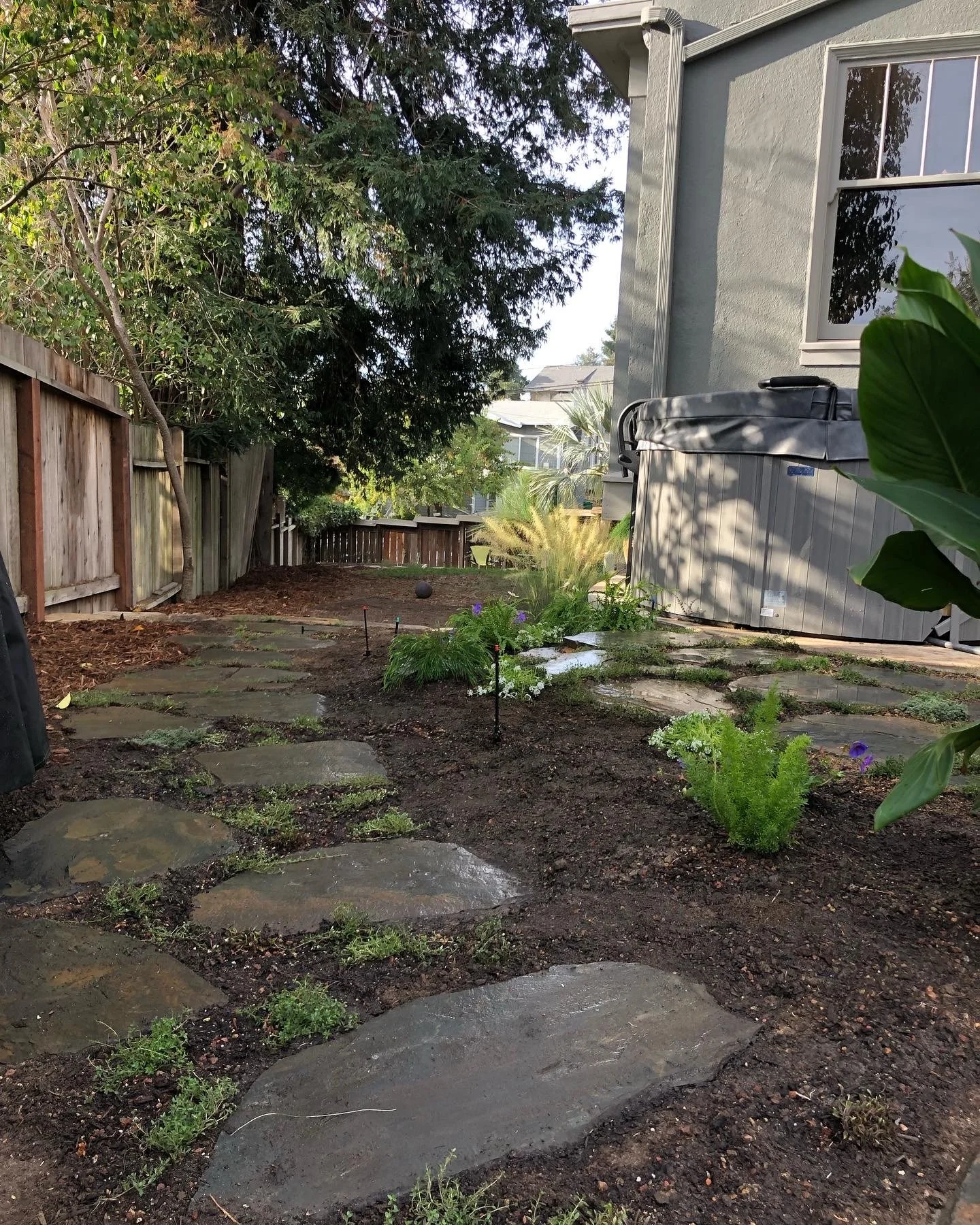 Side yard after install — flagstone path with new plantings and grasses