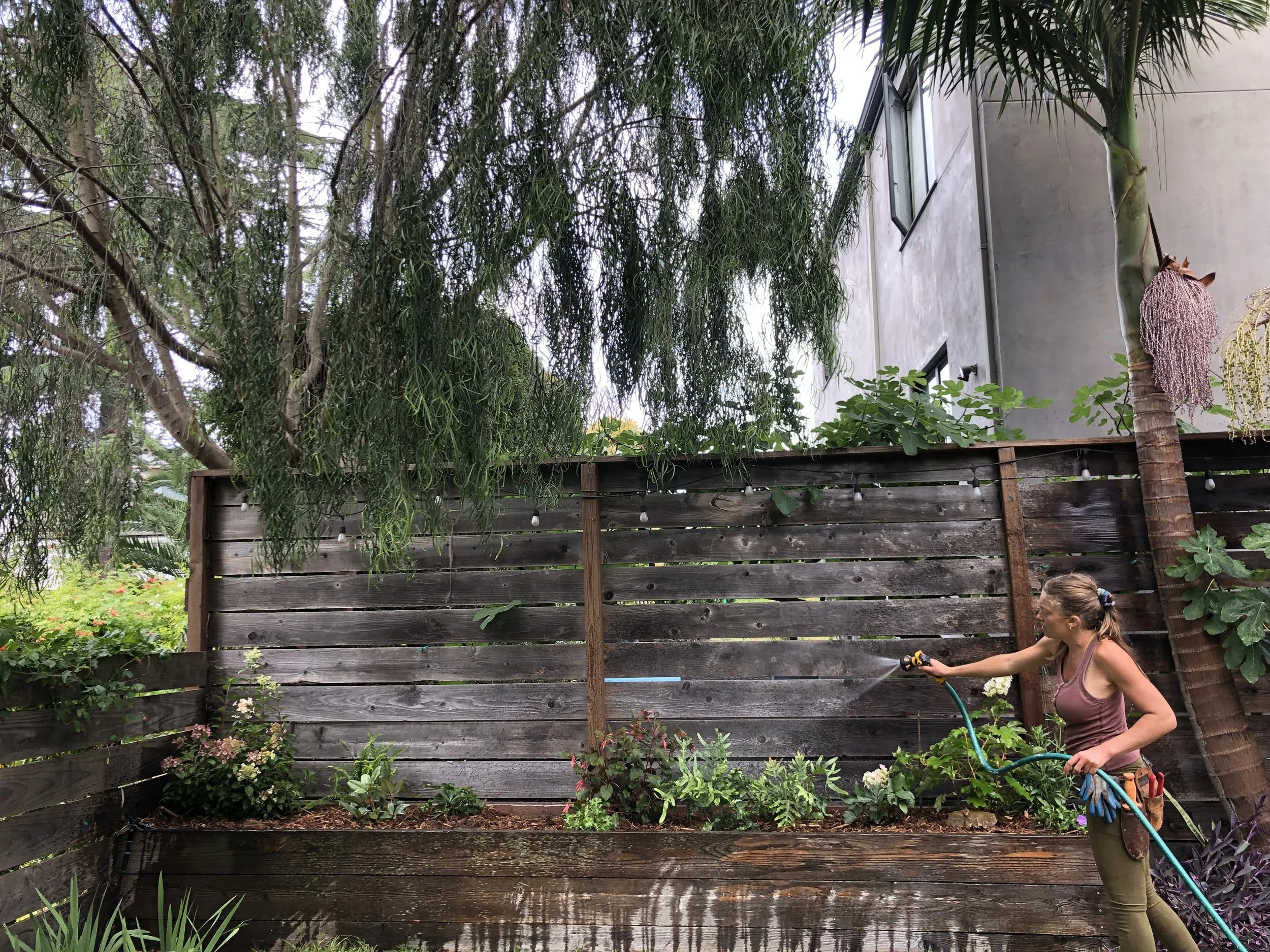 Gardener watering a planting bed — ongoing maintenance