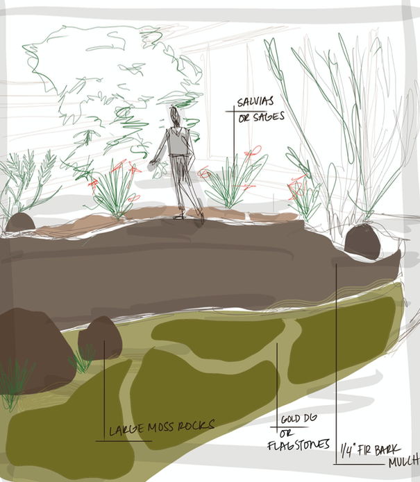 Hand-drawn garden design sketch showing a native planting bed