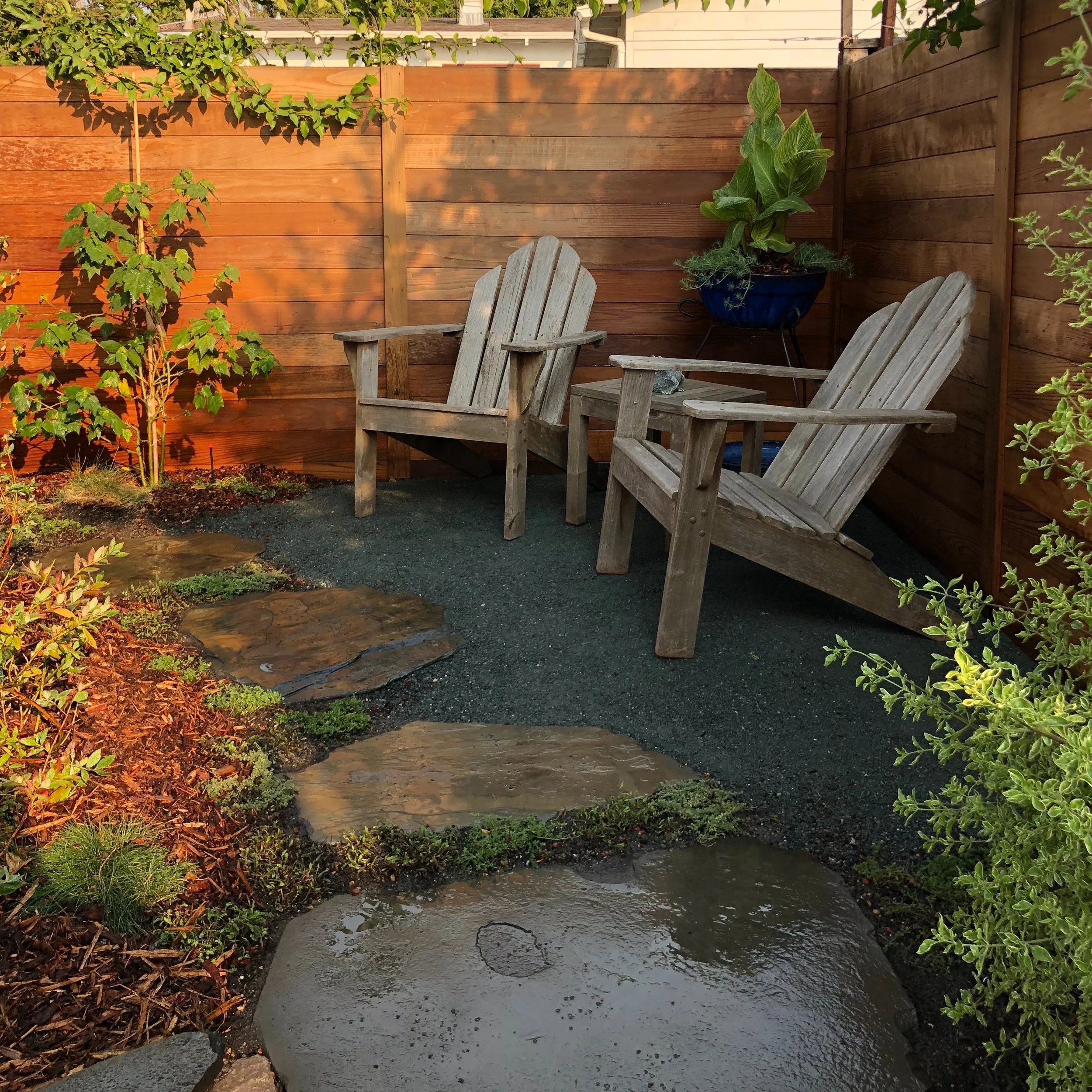 A Redwood View — native backyard garden after installation, Noe Valley