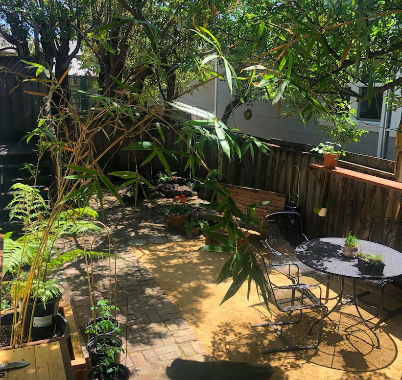 Drought-tolerant California native plants in bloom