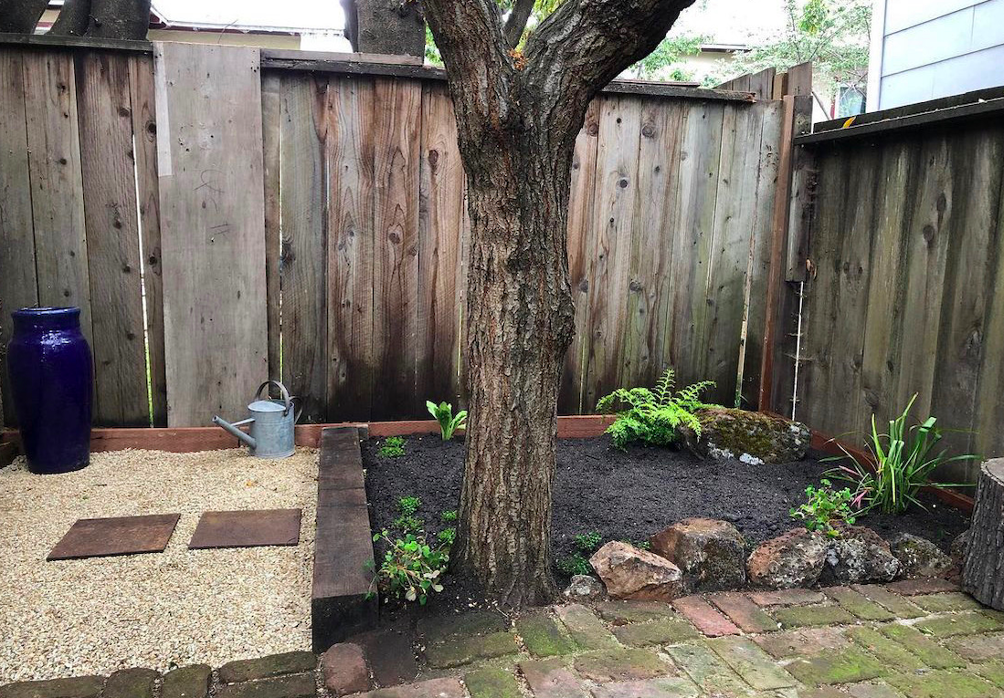 Garden after installation — Berkeley Hills