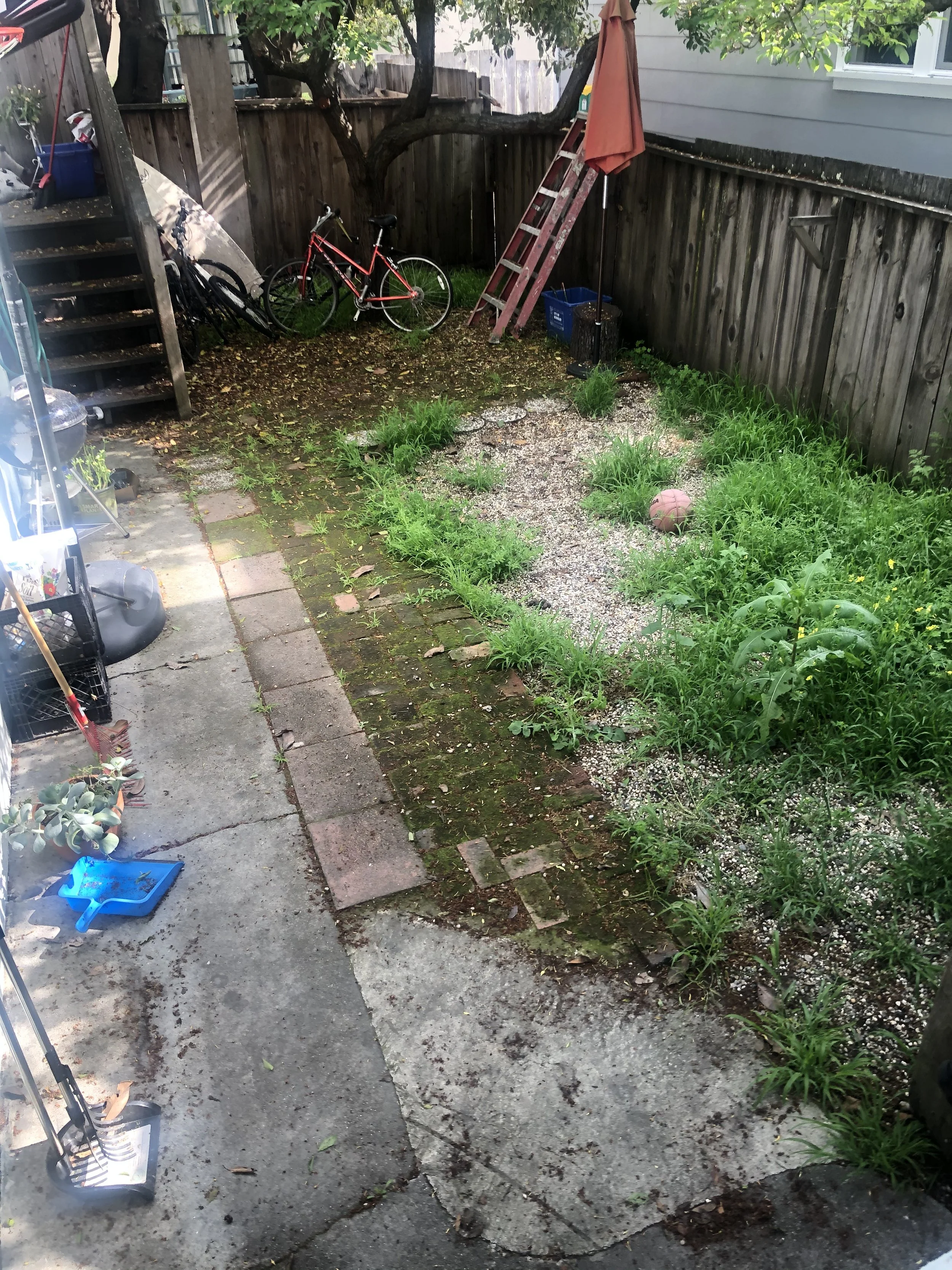 Garden installation in progress, Glen Park